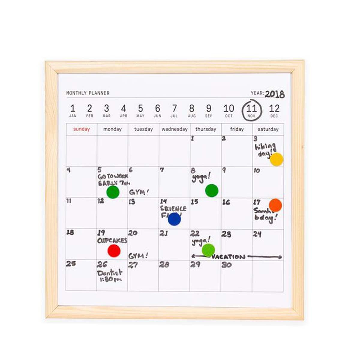 Effacer à sec Calendrier mensuel Grand calendrier magnétique, planificateur  annuel vierge non daté