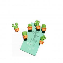 Aimants cactus