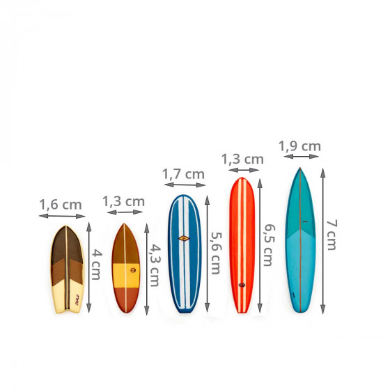 5 aimants surf