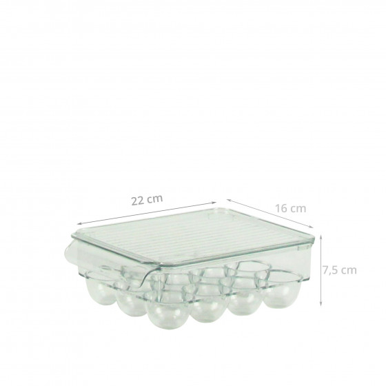 Boîte à 12 oeufs en plastique transparent