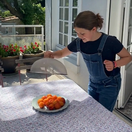 Cloche alimentaire inox