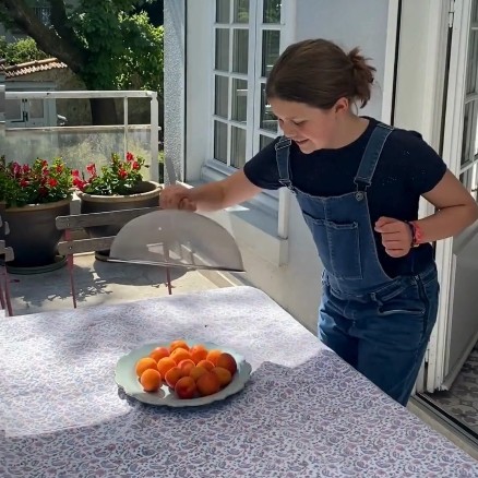 Cloche alimentaire inox